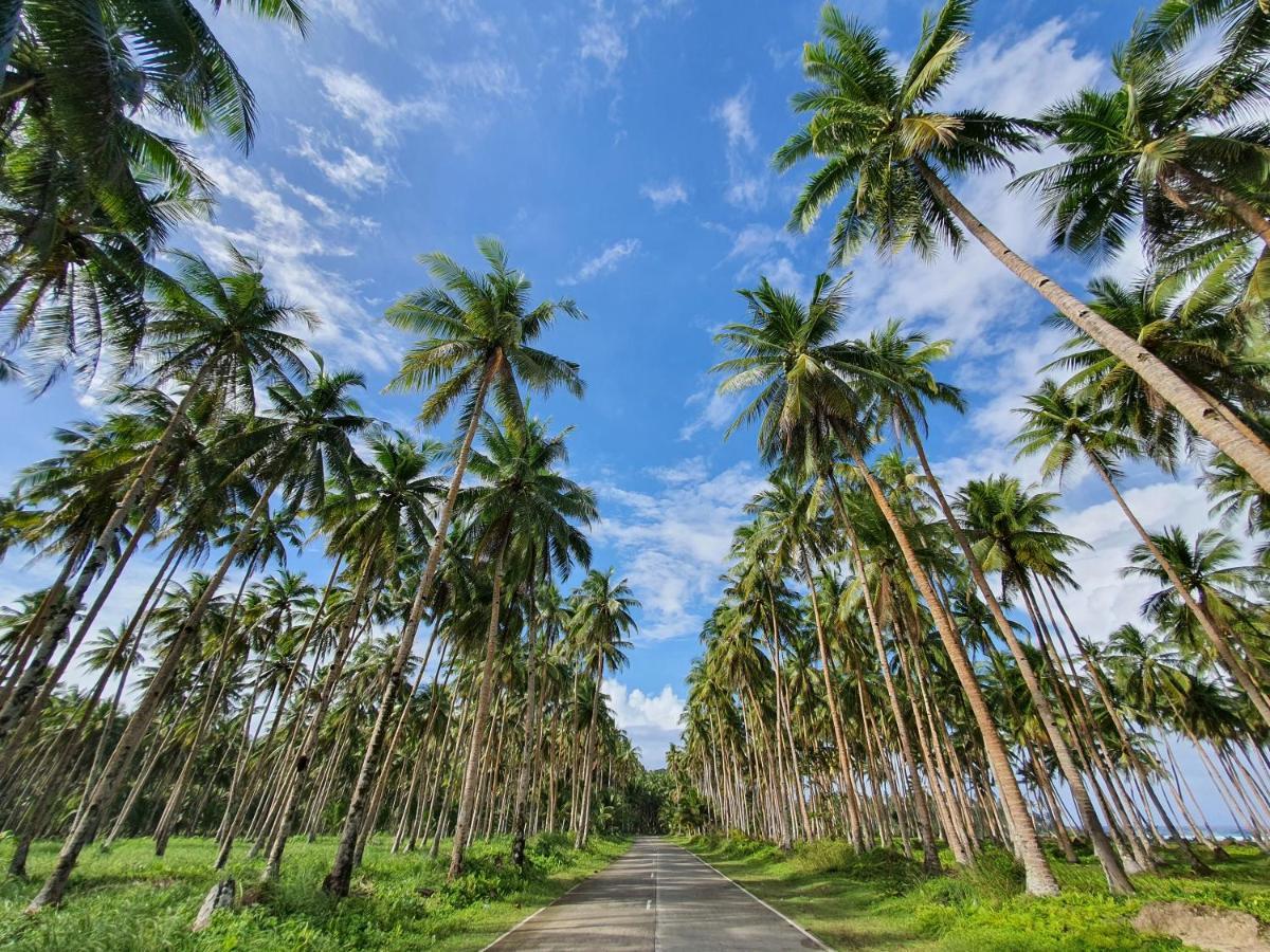 Bed and Breakfast Coleto Siargao San Isidro  Esterno foto
