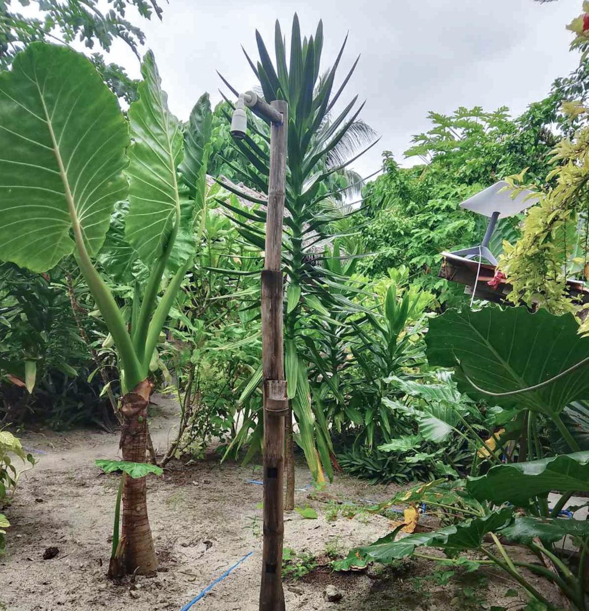 Bed and Breakfast Coleto Siargao San Isidro  Esterno foto
