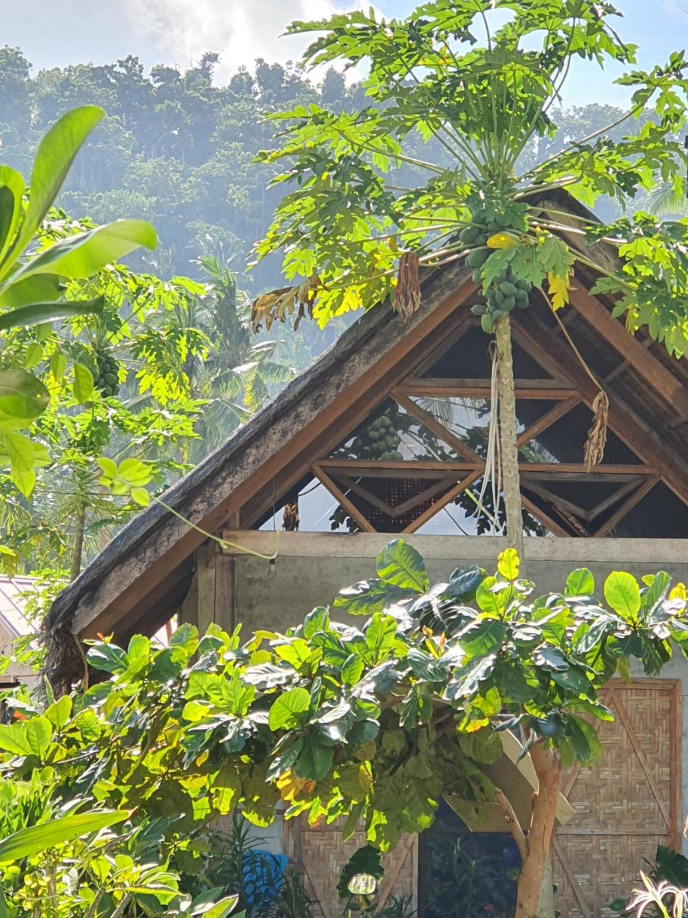 Bed and Breakfast Coleto Siargao San Isidro  Esterno foto